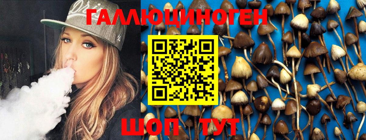 Саяногорск  Псилоцибиновые грибы Psilocybe  Псилоцибиновые грибы мицелий  Вход с VPN 