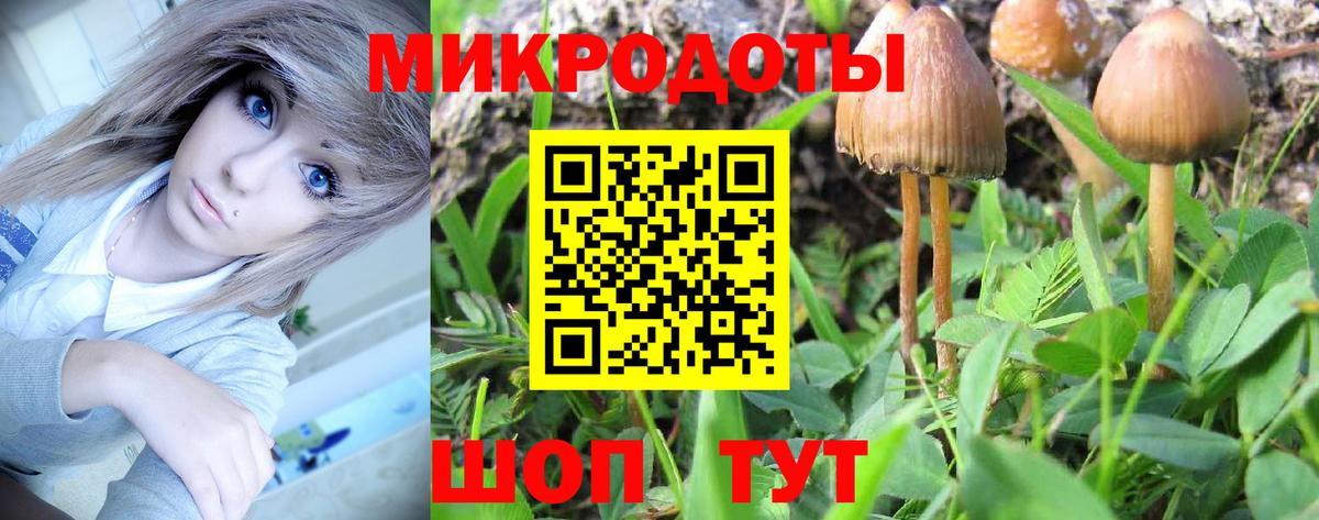 Псилоцибиновые грибы мицелий Саяногорск